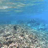 【沖縄旅行】この夏行きたいおすすめ観光スポット