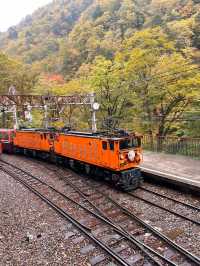 🚂 Kurobe Gorge ทางรถไฟสุดโรแมนติกในญี่ปุ่น