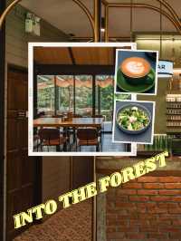 🛤 พักดื่มในสวนยาง Into the fores