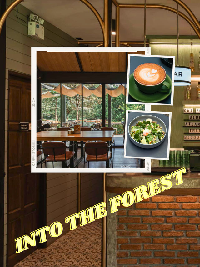 🛤 พักดื่มในสวนยาง Into the fores