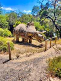 Ballarat Bird World