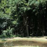 德裕山國立公園：大自然魅力