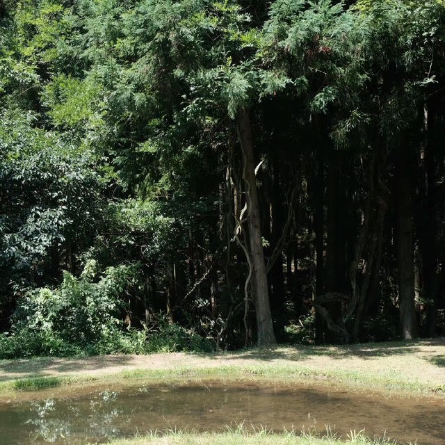 德裕山國立公園：大自然魅力