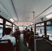 Ding Ding Tram
