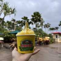 aloha💕HAWAII🌴