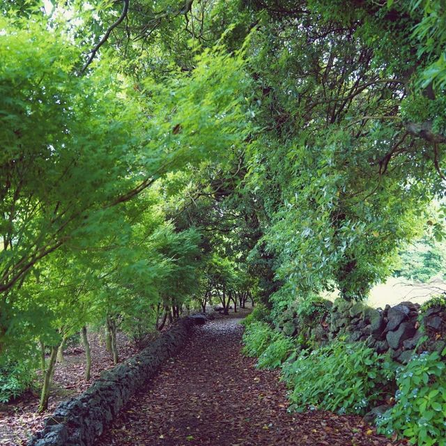 🌳 제주도 힐링 핫플~ 가시림 수목원!