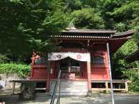 洲崎神社的神聖之旅：探索館山市靈性與美麗