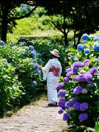 無料で楽しめる紫陽花スポット🤗💠💐月への階段を登ろう☺️🌕✨