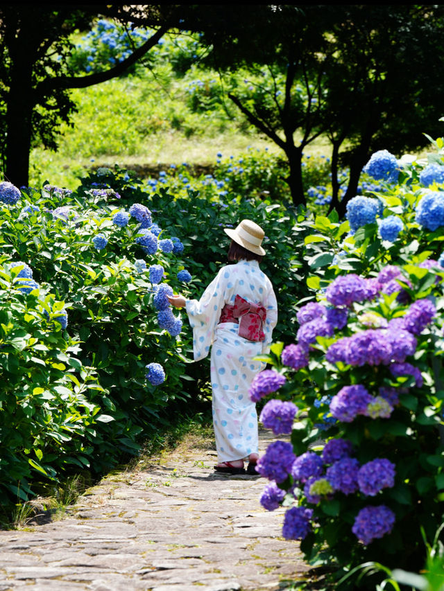 無料で楽しめる紫陽花スポット🤗💠💐月への階段を登ろう☺️🌕✨