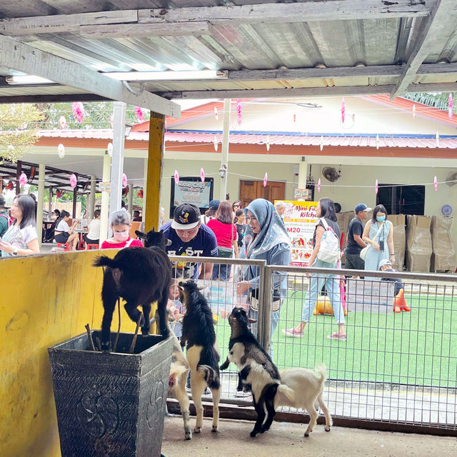 DESARU MINI ZOO