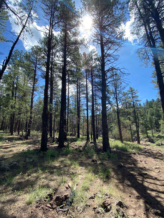 Another national park