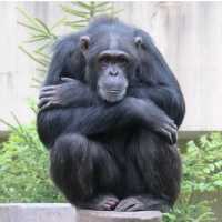 北海道第一座動物園，有北極熊館和日本最大象舍