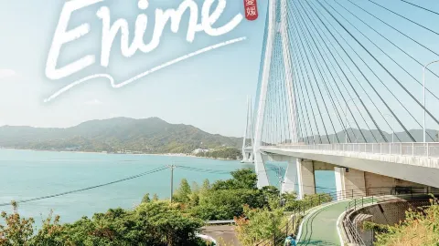 Take a boat across the river to visit Cat Island. — traveler post in Ehime Prefecture