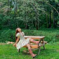 คาเฟ่เขาใหญ่เปิดใหม่ ตั้งอยู่บนเกาะ Ile Cafe