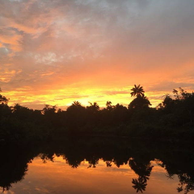 Kota Kinabalu: Diving into Adventure and Serenity in Sabah