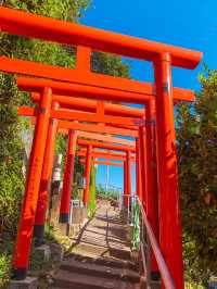【愛知】海を望む展望鳥居がある神社