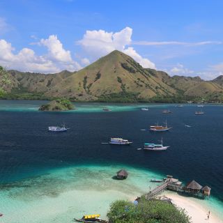 Komodo National Park
A Free Trip