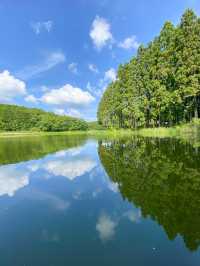  【奈良】奈良のウユニ塩湖👀？？絶景スポット：龍王ヶ渕