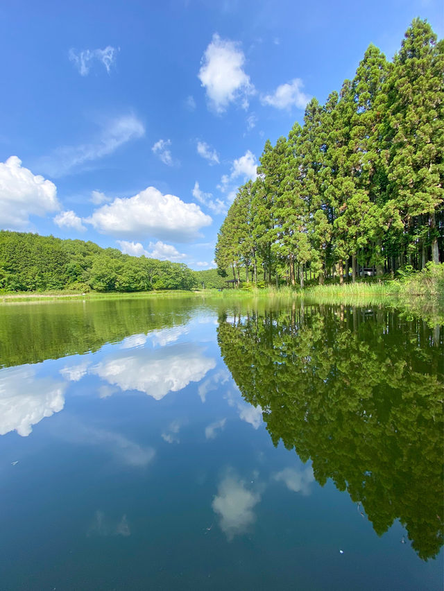  【奈良】奈良のウユニ塩湖👀？？絶景スポット：龍王ヶ渕