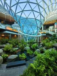 Oasis at Doha Airport 🌺