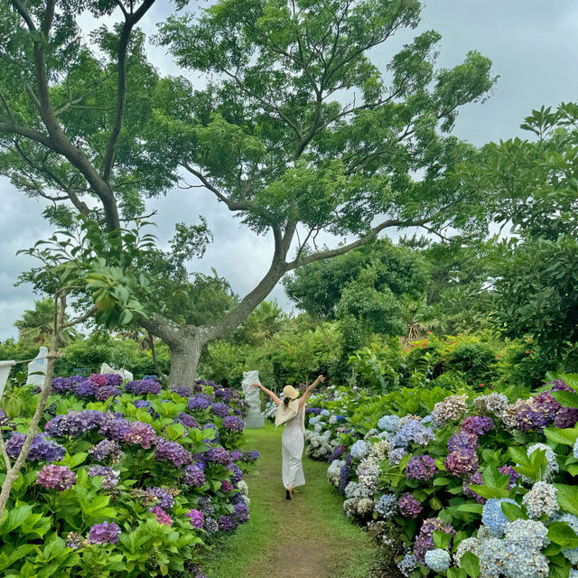 제주도 여름휴가로 가볼만한 여행지& 카페 5장소 추천🧡