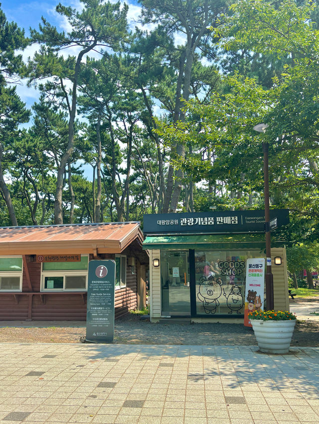아름다운 꽃들을 구경할 수 있는 대왕암공원💚