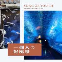 首爾最大水族館親子游