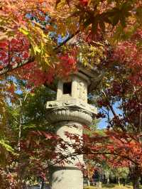 〜京都府〜紅葉の名所永観堂(えいかんどう)