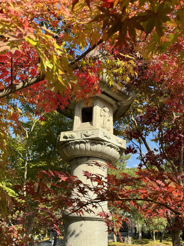 〜京都府〜紅葉の名所永観堂(えいかんどう)