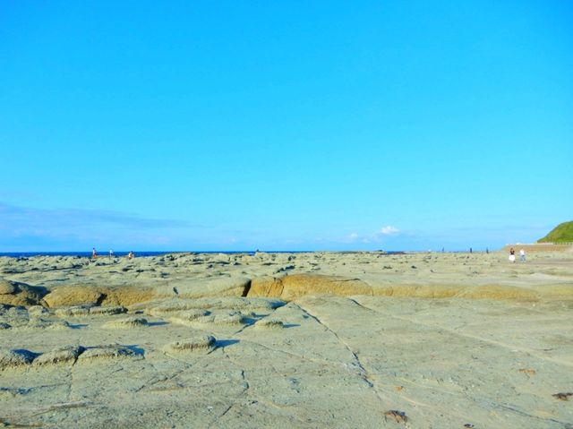 千畳敷海岸の壮大な景色に心震える！！