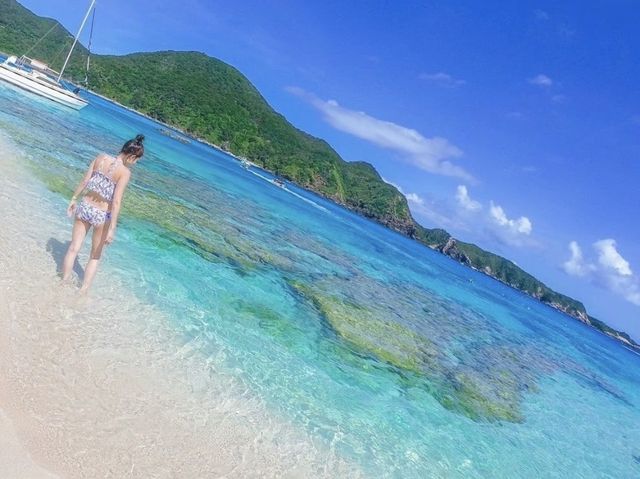 【渡嘉敷島】鮮やかすぎる！！絶景の慶良間ブルー💙