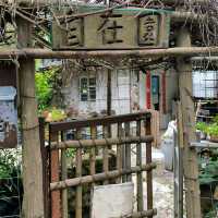 與你一起去進【薄扶林村】,親身認識舊日社區！