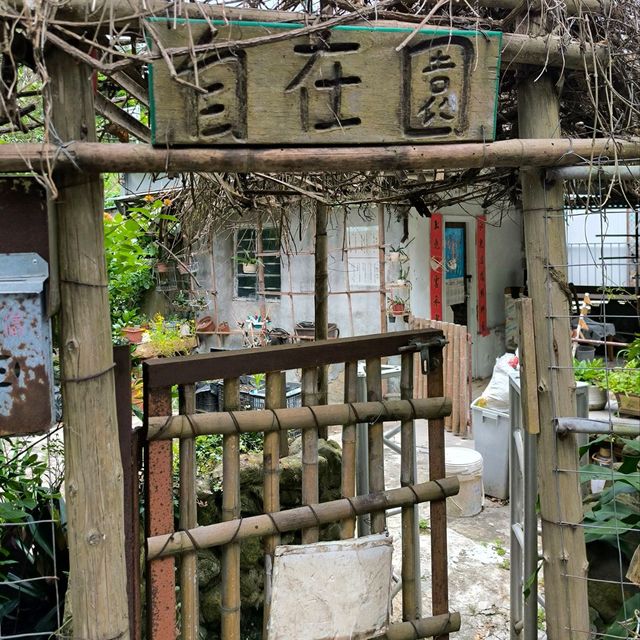 與你一起去進【薄扶林村】,親身認識舊日社區！