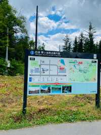【北海道:美瑛エリア】青の絶景！白金青い池