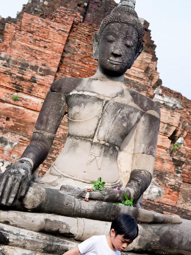 ขี่ช้างชมเมือง เดินเที่ยวโบราณสถานที่อยุธยา 