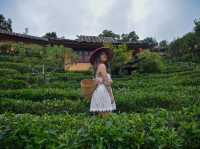ที่พักยอดฮิตหมู่บ้านรักไทย Lee Wine Ruk Thai 