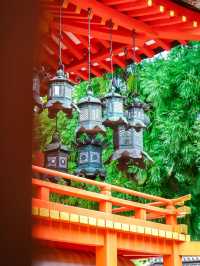 春日大社:神社界的超級巨星