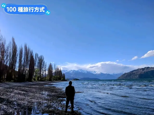 紐西蘭南島-佇立於瓦納卡湖中的孤獨之樹:that wanaka tree