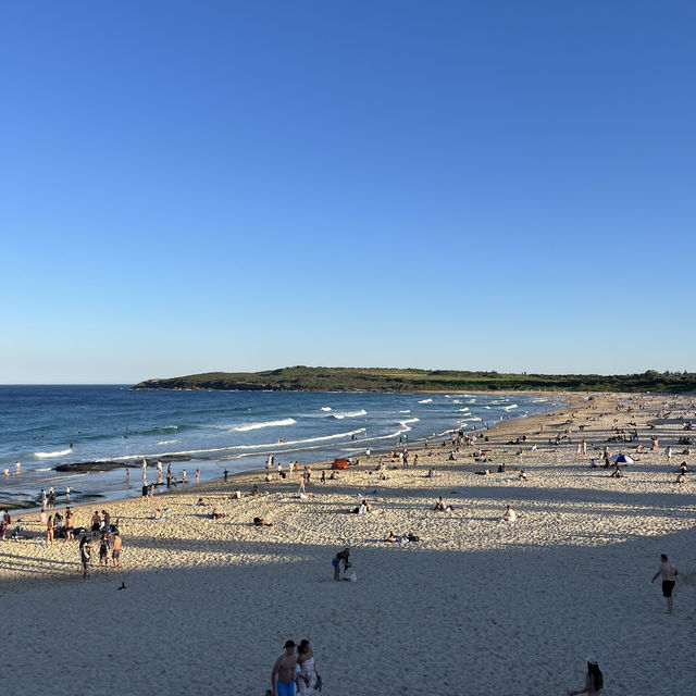 A great time in Sydney!