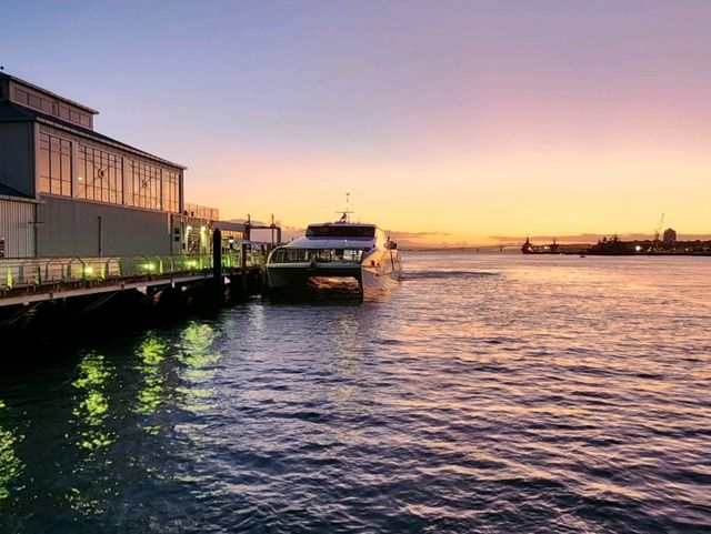 Auckland on a budget