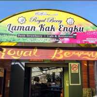 🇲🇾 Brinchang, Cameron Highlands : 2D1N Escape