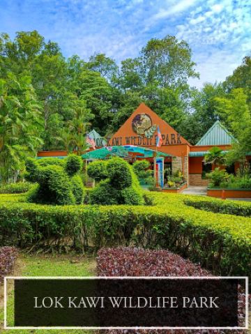 야생의 부름에 감사드립니다