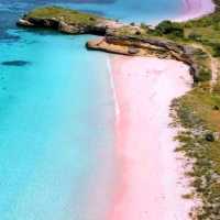 The charming pink beach