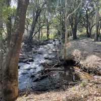 Pedal Through Wildlife in Eswatini’s Best-Kept Secret