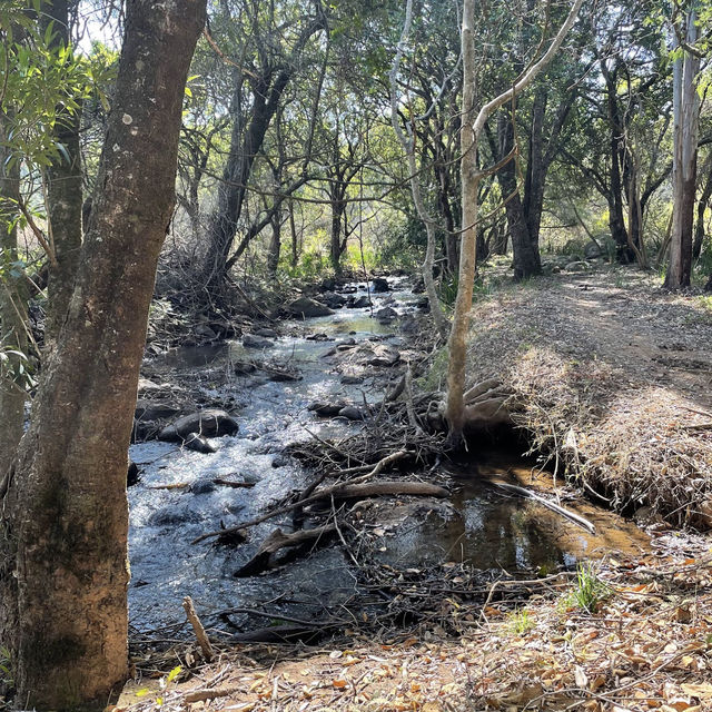 Pedal Through Wildlife in Eswatini’s Best-Kept Secret