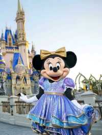 Where magic reigns