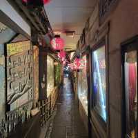 Hozenji Yokocho Alley