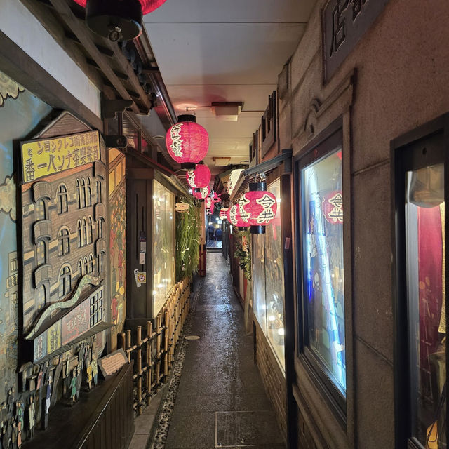 Hozenji Yokocho Alley