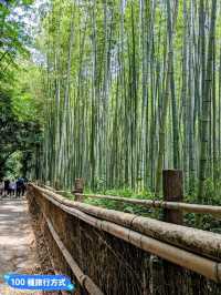 日本京都-參天竹林密境的嵐山之美