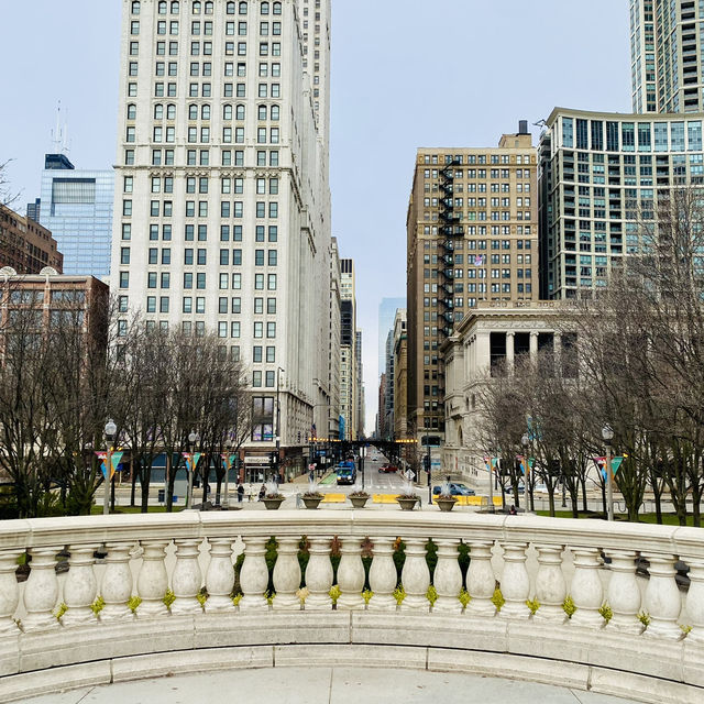 Chicago's giant jellybean adventure